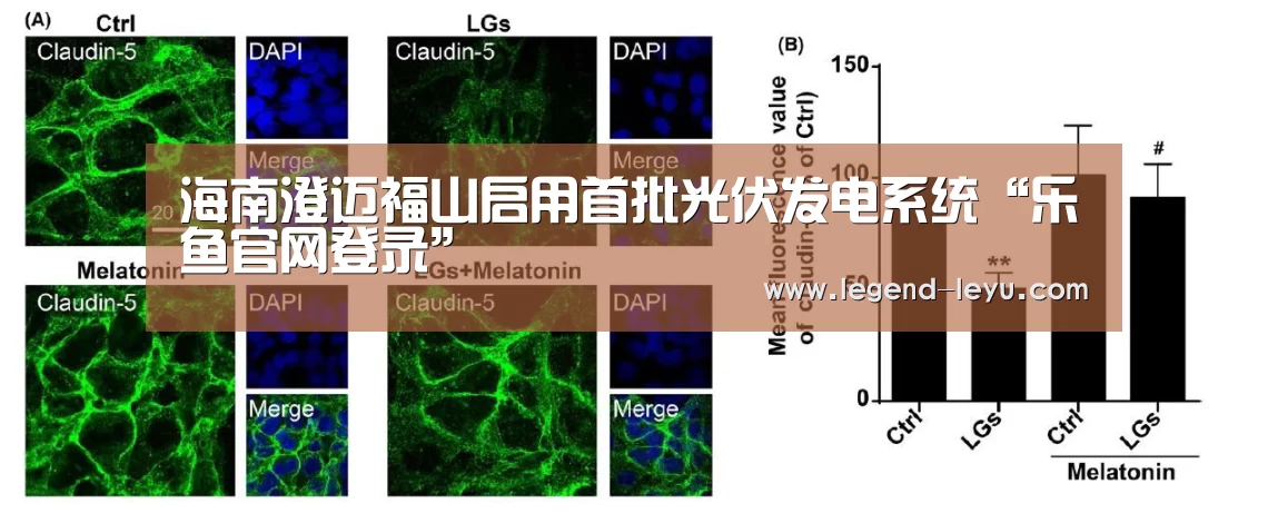 海南澄迈福山启用首批光伏发电系统“乐鱼官网登录”(图2)