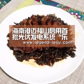 乐鱼官网登录