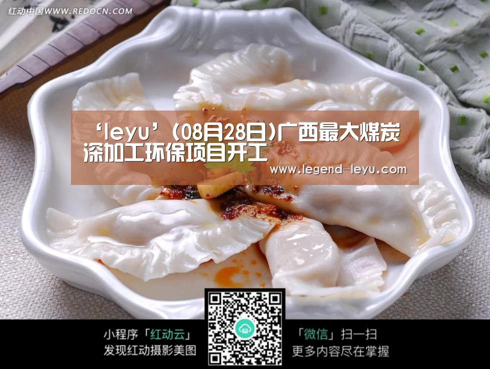 ‘leyu’(08月28日)广西最大煤炭深加工环保项目开工(图2)
