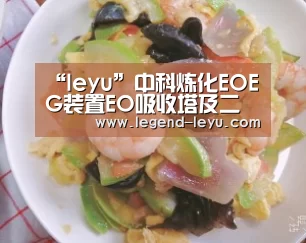 “leyu”中科炼化EOEG装置EO吸收塔及二氧化碳汽提塔顺利吊装(图2) 乐鱼官网登录