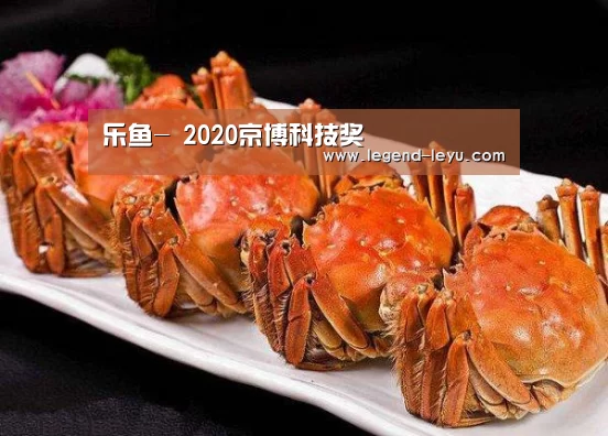 乐鱼-
2020京博科技奖(图4) 乐鱼