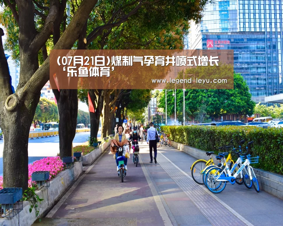 (07月21日)煤制气孕育井喷式增长‘乐鱼体育’(图3) 乐鱼官网登录