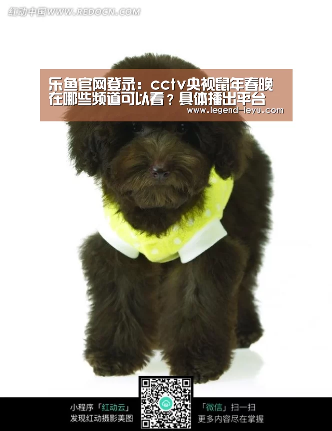 乐鱼官网登录:cctv央视鼠年春晚在哪些频道可以看?具体播出平台(图3) 乐鱼体育