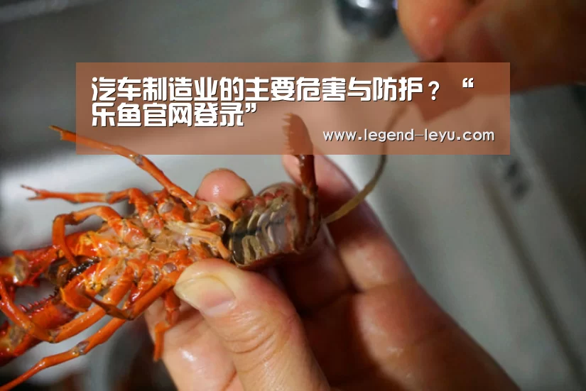 汽车制造业的主要危害与防护?“乐鱼官网登录”(图2) 乐鱼体育