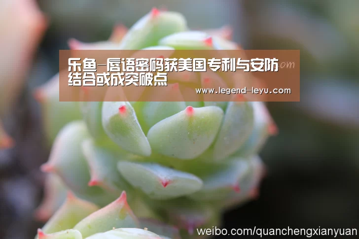 乐鱼-唇语密码获美国专利与安防结合或成突破点(图1)