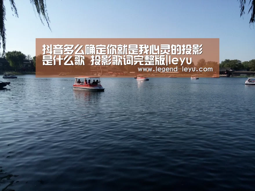 抖音多么确定你就是我心灵的投影是什么歌 投影歌词完整版|leyu(图1)